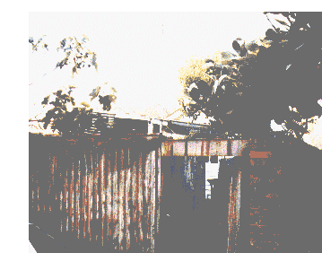 The house